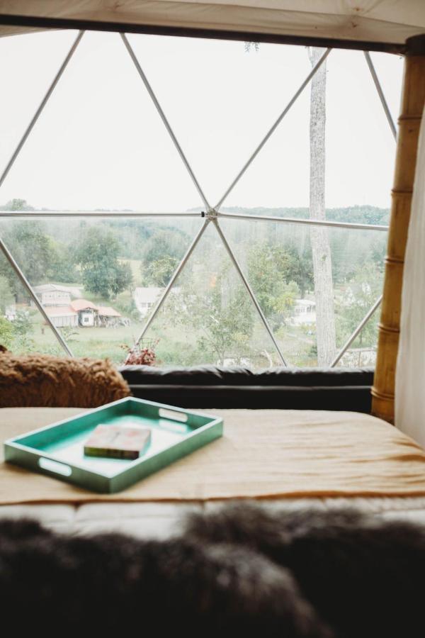 Hotel Waterfront Luxury Glamping Dome Rogersville Esterno foto