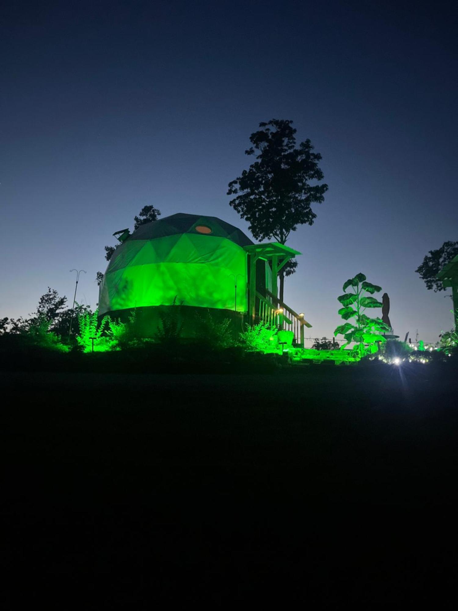 Hotel Waterfront Luxury Glamping Dome Rogersville Esterno foto
